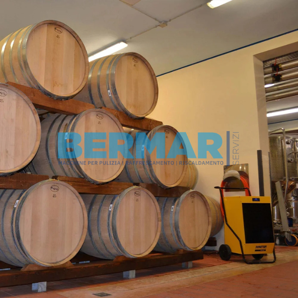 Deumidificatore Professionale a condensazione - DH 62
