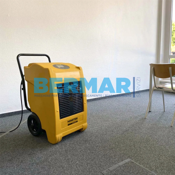 Deumidificatore Professionale - DHP 55
